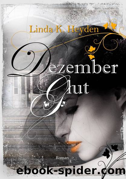 Dezemberglut by Heyden Linda K