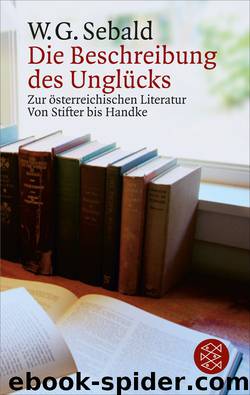 Die Beschreibung des Unglücks. Zur österreichischen Literatur von Stifter bis Handke by W.G. Sebald