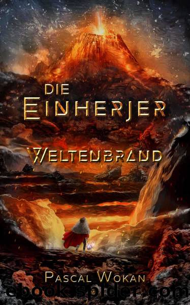 Die Einherjer: Weltenbrand (German Edition) by Pascal Wokan