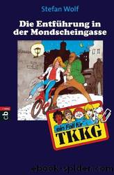 Die Entführung in der Mondscheingasse by Wolf Stefan