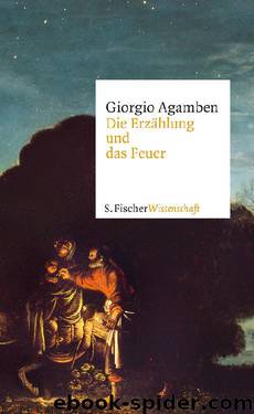 Die Erzählung und das Feuer by Giorgio Agamben