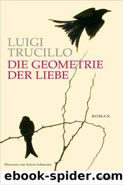 Die Geometrie Der Liebe by Luigi Trucillo