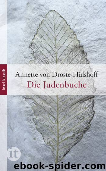 Die Judenbuche - ein Sittengemälde aus dem gebirgichten Westphalen by Insel Verlag