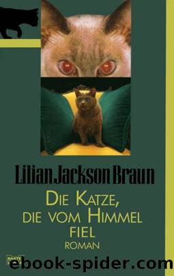 Die Katze 28 - Die Katze, die vom Himmel fiel by Lilian Jackson Braun