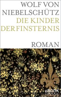 Die Kinder der Finsternis by Niebelschütz Wolf von