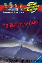 Die Knickerbocker Bande 42 - 13 blaue Katzen by Thomas Brezina