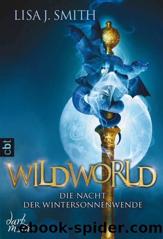 Die Nacht der Wintersonnenwende by Lisa J. Smith