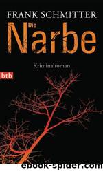 Die Narbe by Frank Schmitter