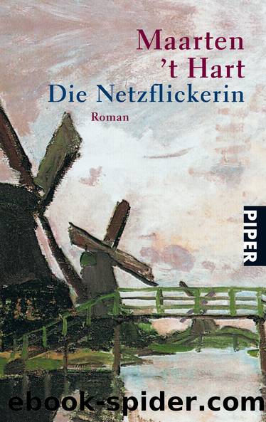 Die Netzflickerin by Maarten 't Hart