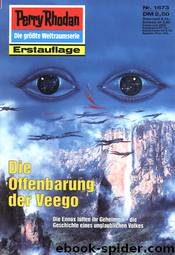 Die Offenbarung der Veego by Susan Schwartz