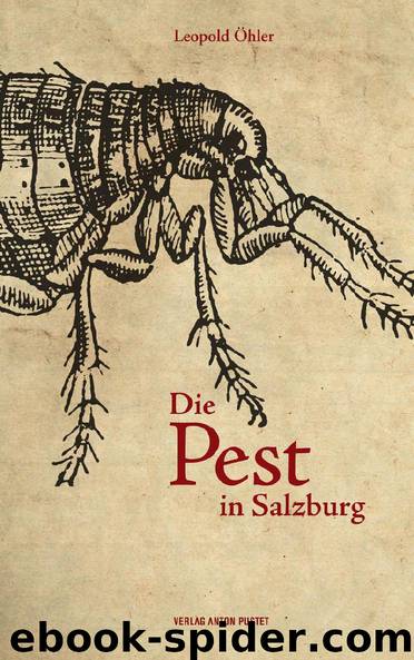 Die Pest in Salzburg by Leopold Öhler