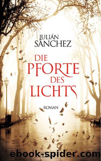 Die Pforte des Lichts by Julian Sanchez