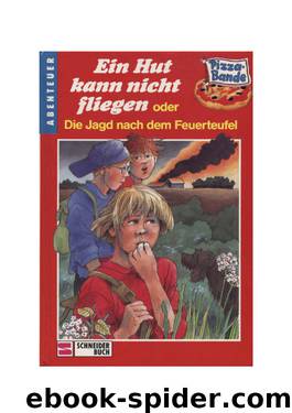 Die Pizzabande: Ein Hut Kann Nicht Fliegen Oder Die Jagd Nach Dem Feuerteufel by Walbert Helmut