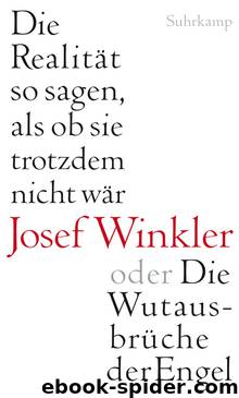 Die Realität so sagen, als ob sie trotzdem nicht wär oder Die Wutausbrüche der Engel by Winkler Josef