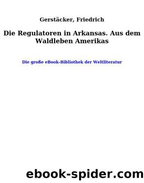 Die Regulatoren in Arkansas. Aus dem Waldleben Amerikas by Gerstäcker Friedrich