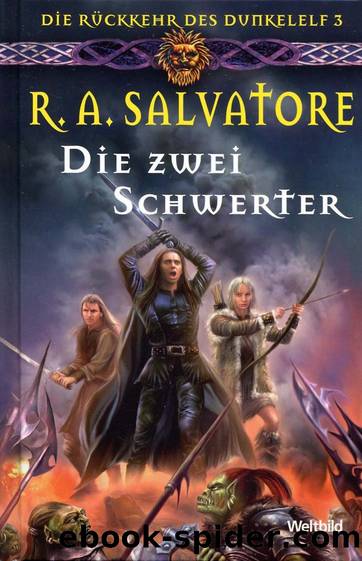 Die Rueckkehr des Dunkelelf 3 Die zwei Schwerter by R. A. Salvatore