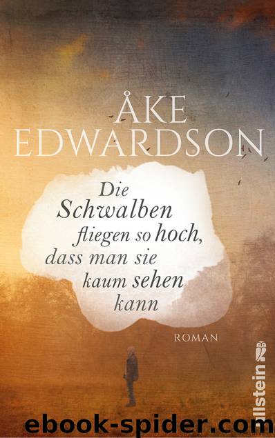 Die Schwalben fliegen so hoch, dass man sie kaum sehen kann by Åke Edwardson