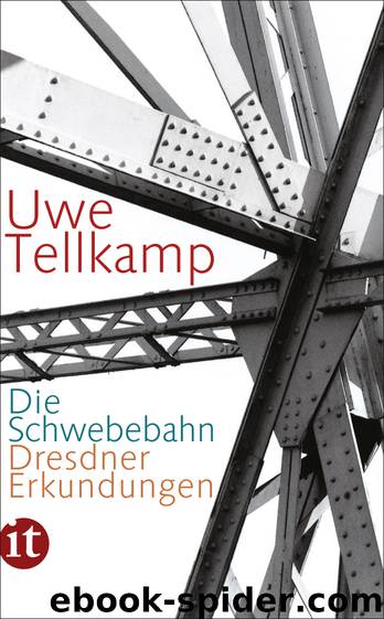 Die Schwebebahn - Dresdner Erkundungen by Uwe Tellkamp