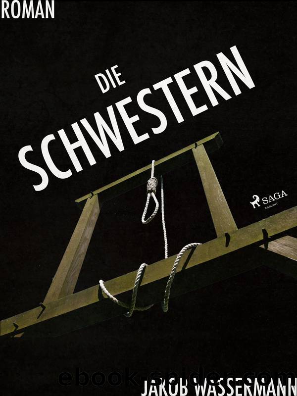 Die Schwestern by Jakob Wassermann