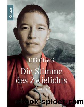 Die Stimme des Zwielichts: Roman (German Edition) by Ulli Olvedi