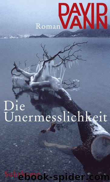 Die Unermesslichkeit by David Vann