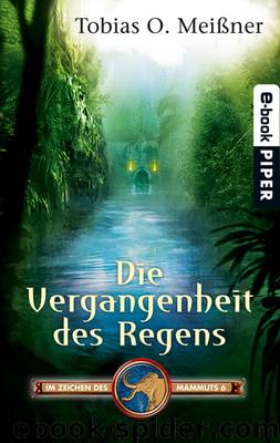 Die Vergangenheit des Regens by Meißner Tobias O