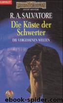 Die Vergessenen Welten 10 - Die Küste Der Schwerter by R. A. Salvatore