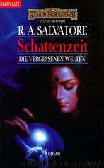 Die Vergessenen Welten 12 - Schattenzeit by R. A. Salvatore