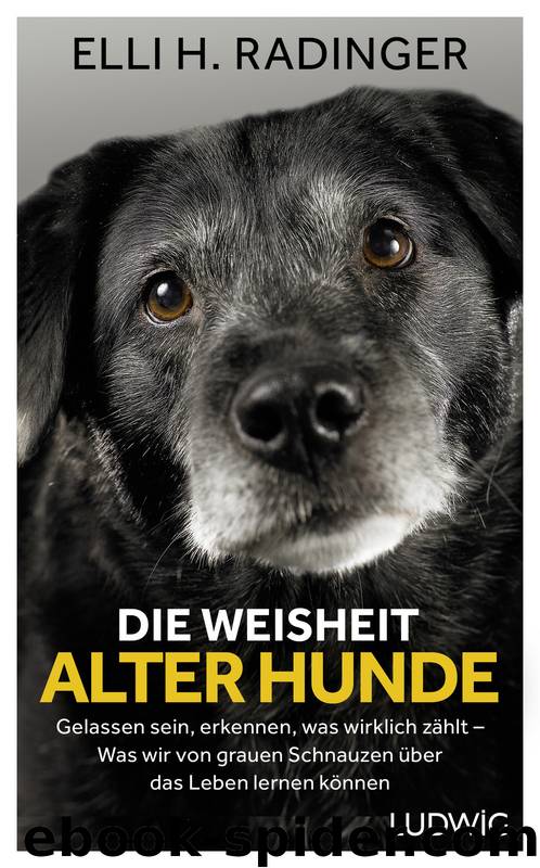 Die Weisheit alter Hunde by Radinger Elli H