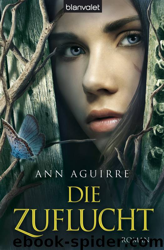 Die Zuflucht by Aguirre Ann