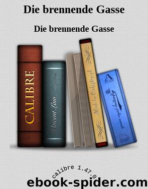 Die brennende Gasse by Ann Benson