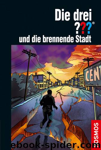 Die drei und die brennende Stadt drei Fragezeichen by Dittert Christoph