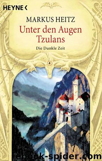 Die dunkle Zeit 4 - Unter den Augen Tzulans by Markus Heitz