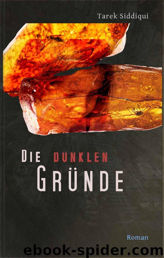 Die dunklen Gründe (German Edition) by Tarek Siddiqui