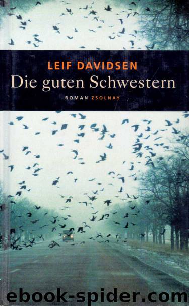 Die guten Schwestern by Leif Davidsen