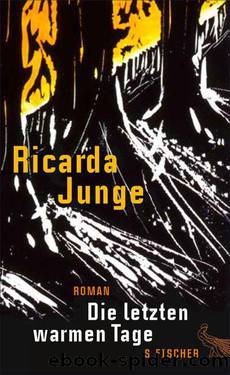 Die letzten warmen Tage: Roman (German Edition) by Junge Ricarda