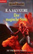 Die vergessenen Welten 05 - Der magische Stein by R. A. Salvatore