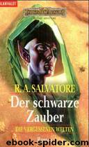 Die vergessenen Welten 13 - Der schwarze Zauber by R. A. Salvatore