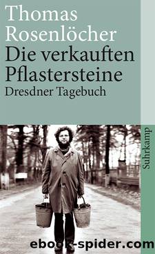 Die verkauften Pflastersteine by Rosenlöcher Thomas