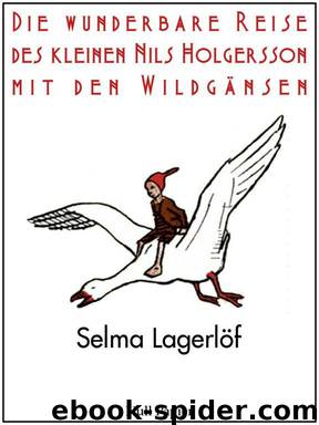 Die wunderbare Reise des kleinen Nils Holgersson mit den Wildgänsen by Selma Lagerlöf