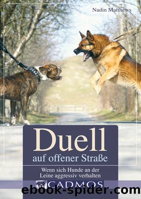 Duell auf offener Straße by Nadin Matthews