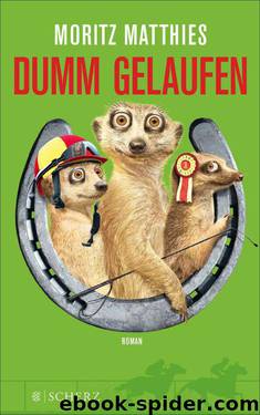 Dumm gelaufen: Roman (German Edition) by Matthies Moritz