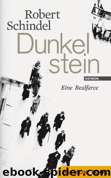 Dunkelstein by Schindel Robert