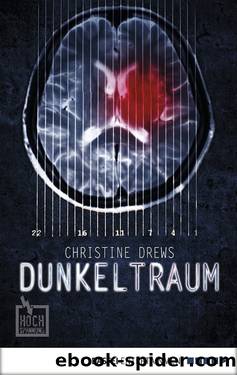 Dunkeltraum by Christine Drews