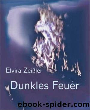 Dunkles Feuer by Elvira Zeissler