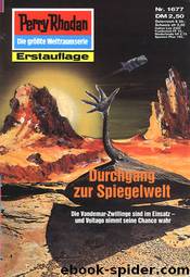 Durchgang zur Spiegelwelt by Robert Feldhoff