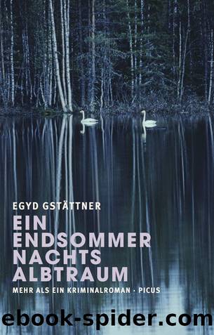 Egyd Gstättner - Ein Endsommernachtsalbtraum-Mehr als ein Kriminalroman by Picus-Verlag