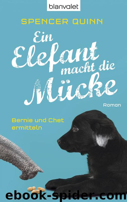 Ein Elefant macht die Mücke by Quinn Spencer