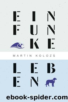 Ein Funke Leben by Martin Kolozs