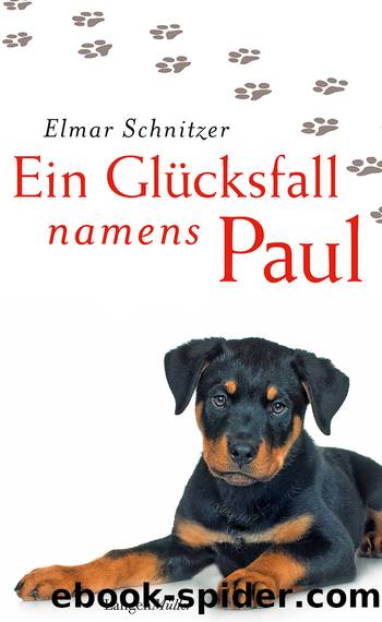 Ein Glücksfall namens Paul by Elmar Schnitzer